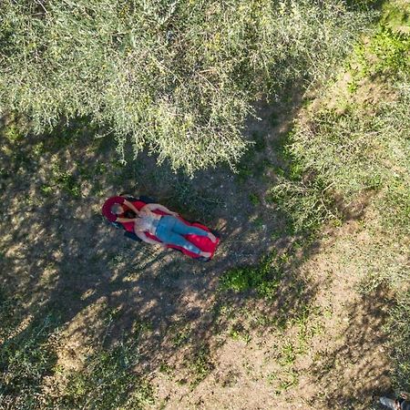 Appartamenti Arco Antico Сан Бартоломео ал Маре Екстериор снимка